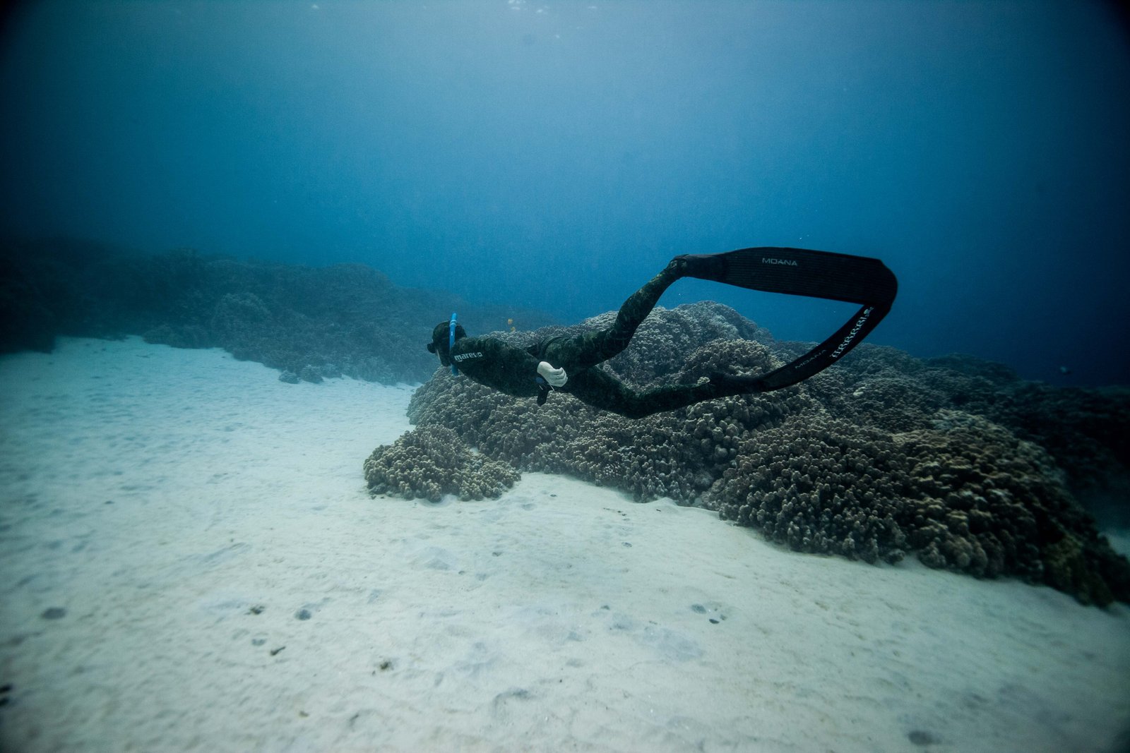 PFI Freediver Training