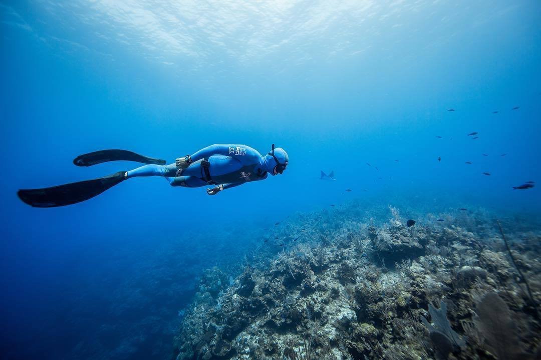 PFI Intermediate Freediver Training