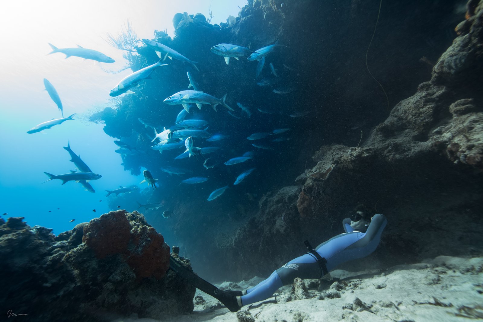 Freediving Specialties