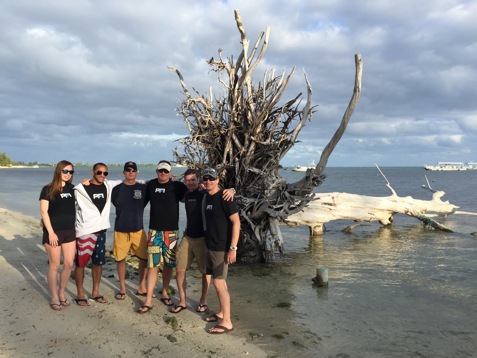 Professional Training