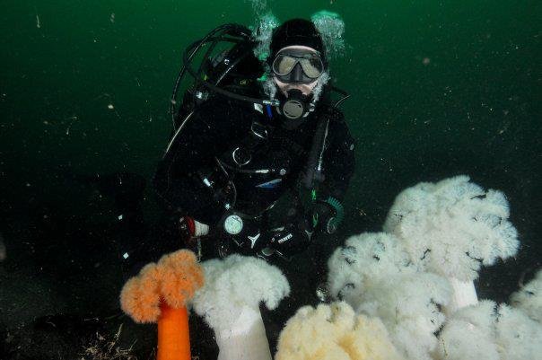 Advanced Adventure Training