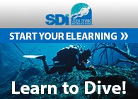 Learn to Dive eLearning